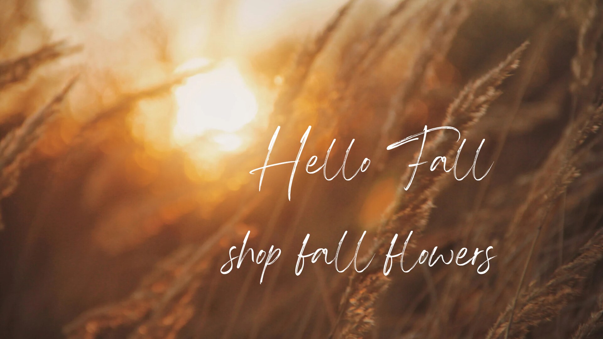 Lebanon Florist Flower Delivery by Blooms by Sandy Inc