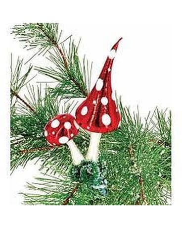 HeARTfully Yours Forest Freckles Clip-on Gifts