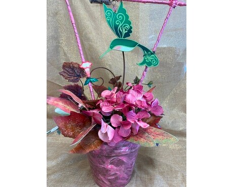 Mauve Hanging Hummingbird