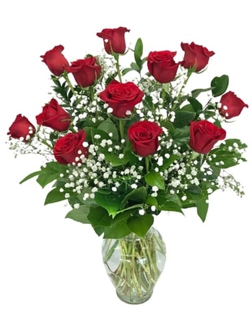 Dozen Red Roses in Kensington MD - Hoover-Fisher Florist