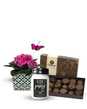 Sweet Treats Delivery Kensington MD - Hoover-Fisher Florist