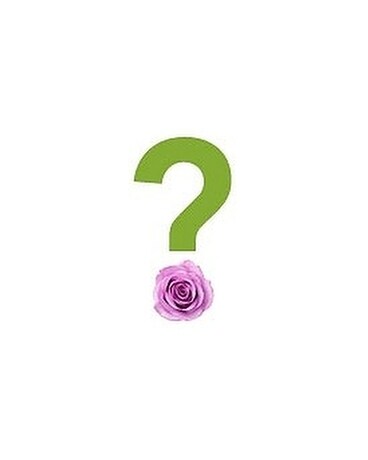 Florist's Choice Flower Arrangement