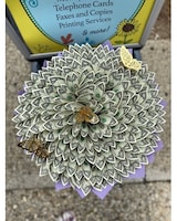 50- Dollars size,  inches height and  inches wide.