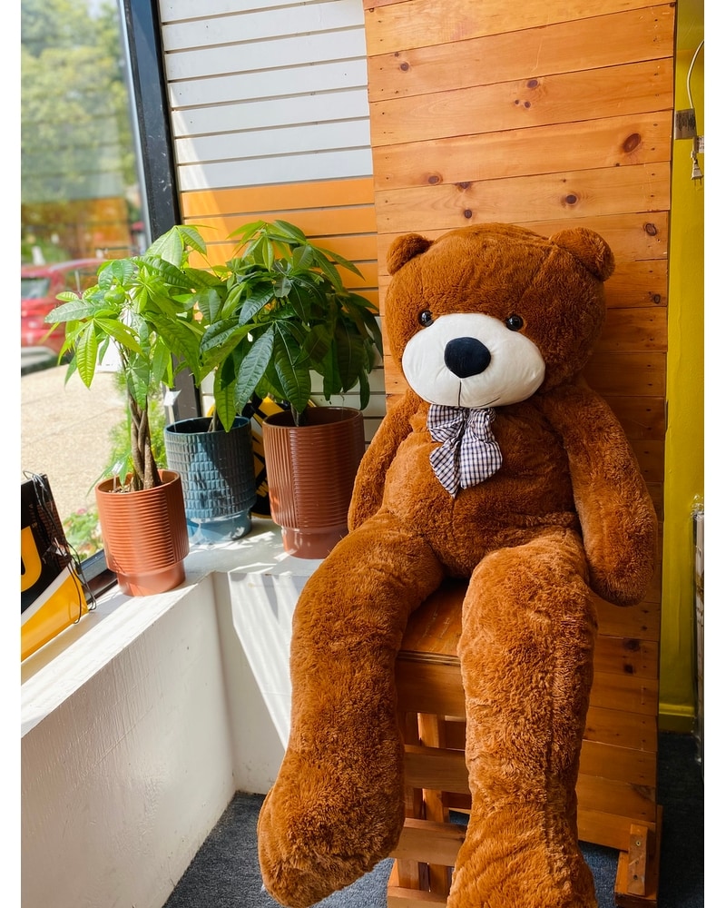 Life Size Bear in Silver Spring MD - Roxanas' Floral