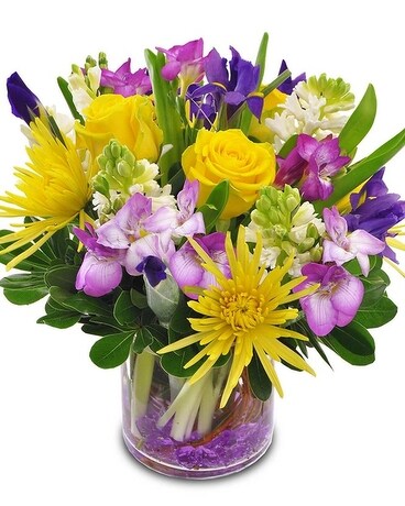 Potomac's Spring Medley Flower Arrangement