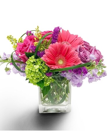 Potomac's Sweet Admiration Flower Arrangement