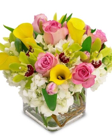 Potomac's Burst of Color Bouquet Flower Arrangement