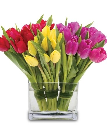 Potomac's Glorious Tulips Flower Arrangement
