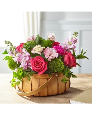 x Sympathy Arrangement
