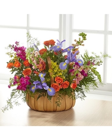 x Sympathy Arrangement