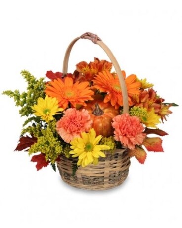 Potomac's Pumpkin Spice Basket Flower Arrangement