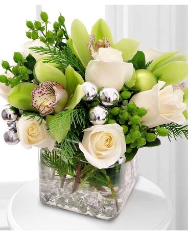 Potomac's Holiday Spirit Cube Flower Arrangement
