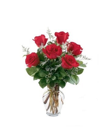Potomac's Half-Dozen Roses Flower Arrangement