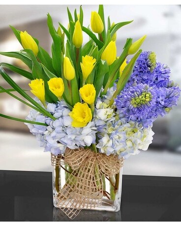 Potomac's Dreaming of Spring Flower Arrangement