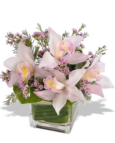 Potomac's Simply Orchids Bouquet Flower Arrangement
