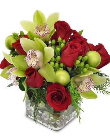 Potomac's Winter Warmth Bouquet Flower Arrangement