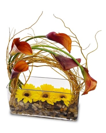 Autumn Breeze by Potomac Flower Arrangement