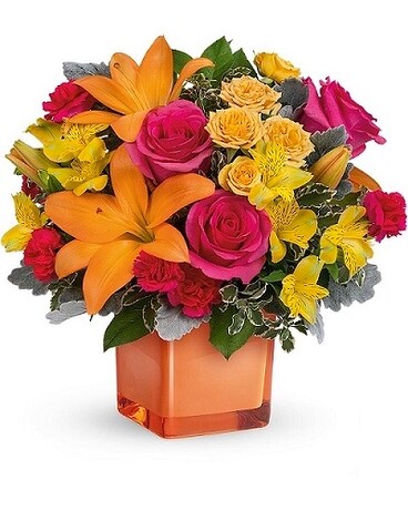 Potomac's Spread The Sunshine Bouquet Flower Arrangement