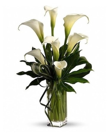 Pure Elegance Flower Arrangement