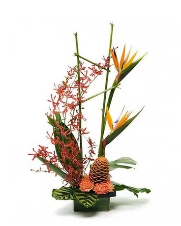 Tropical Sail Flower Arrangement