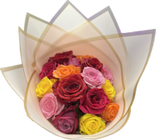 18 Long Stem Roses size,  inches height and  inches wide.