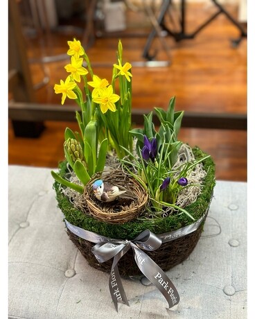 Spring Bulb Basket Flower Arrangement