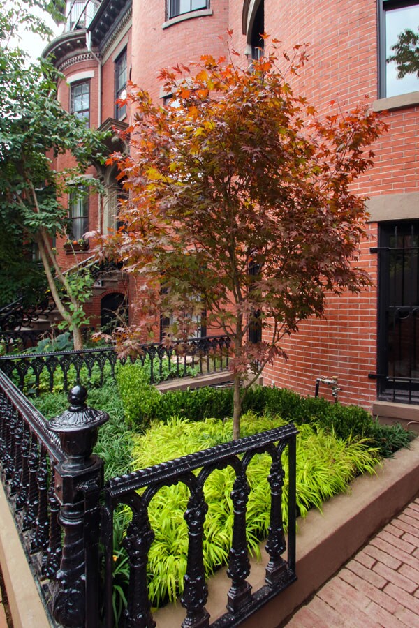 South End Brownstone Gallery Winston Flowers