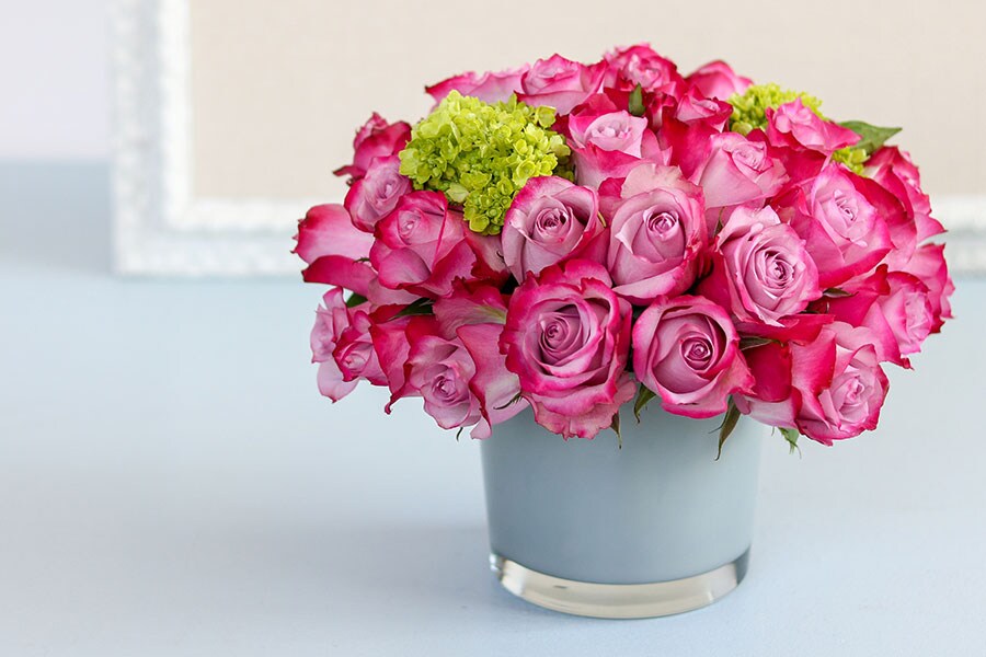 Boston Flower And Garden Show 2018 Promo Code Best Flower Site