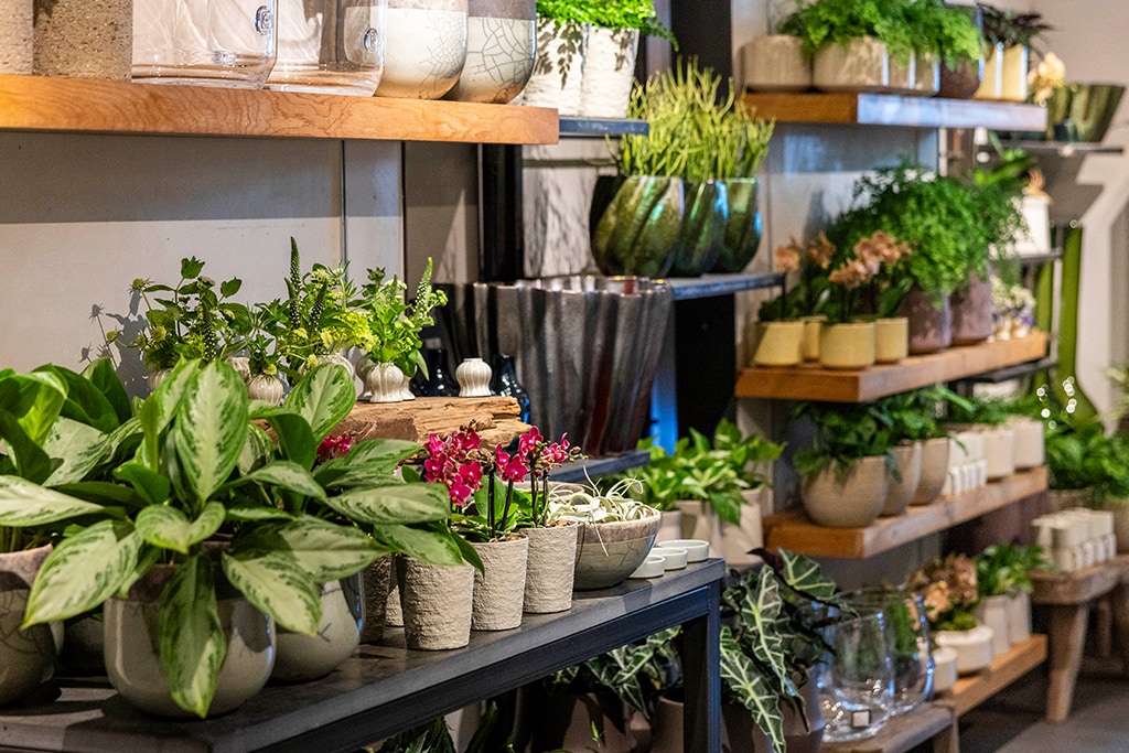 Back Bay Boston, MA Floral Gallery Winston Flowers