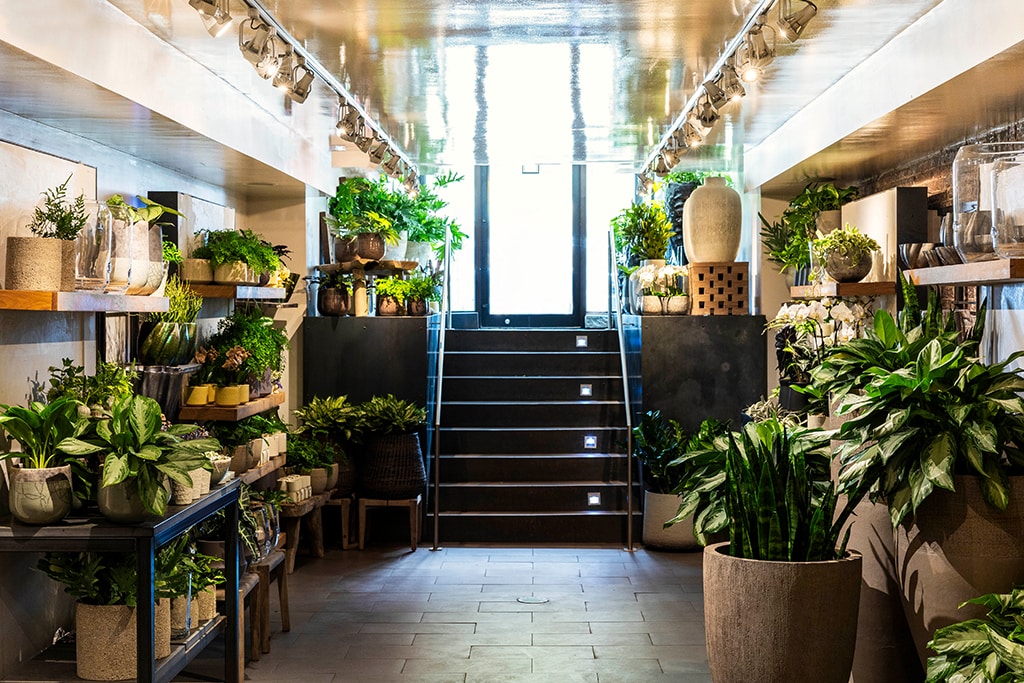 Back Bay Boston, MA Floral Gallery Winston Flowers