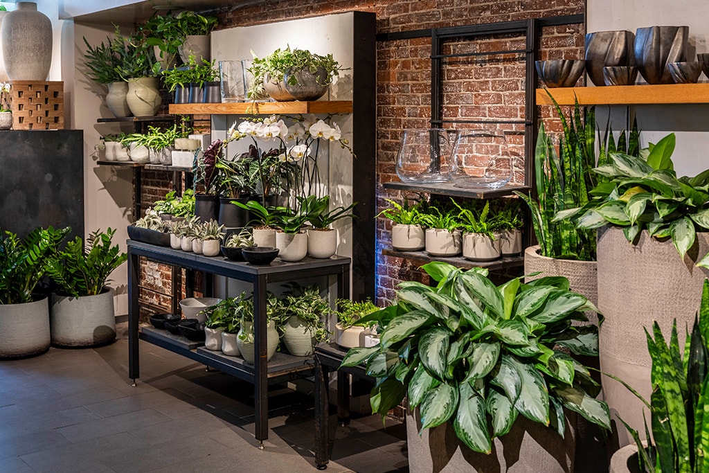 Back Bay Boston, MA Floral Gallery Winston Flowers