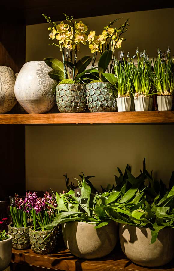 Financial District Floral Gallery Winston Flowers