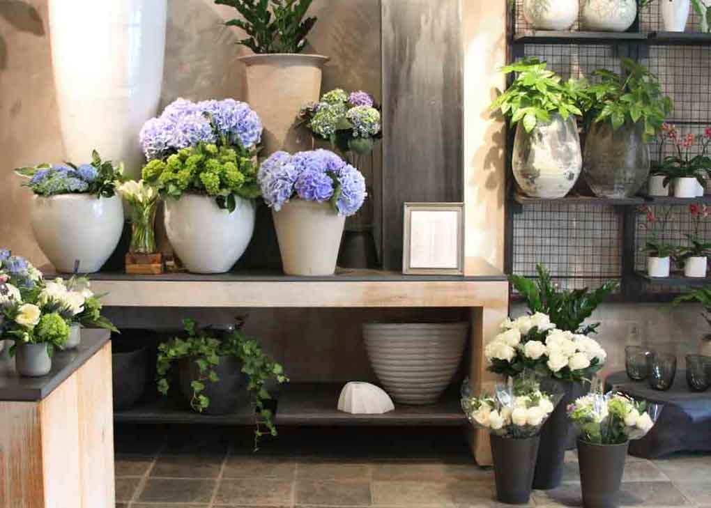 Concord Flower Gallery Winston Flowers