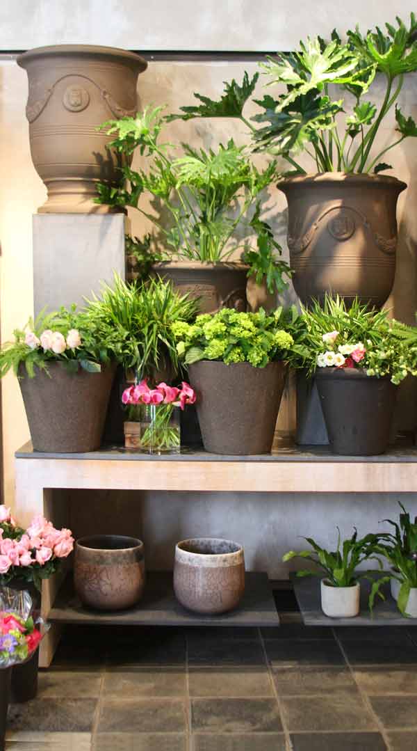 Concord Flower Gallery Winston Flowers