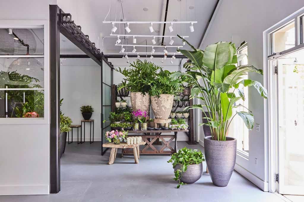 Greenwich, CT Floral Gallery | Winston Flowers