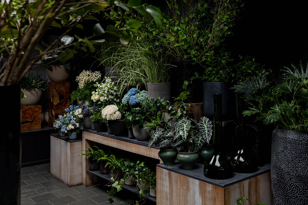 Wellesley, MA Floral Gallery Winston Flowers