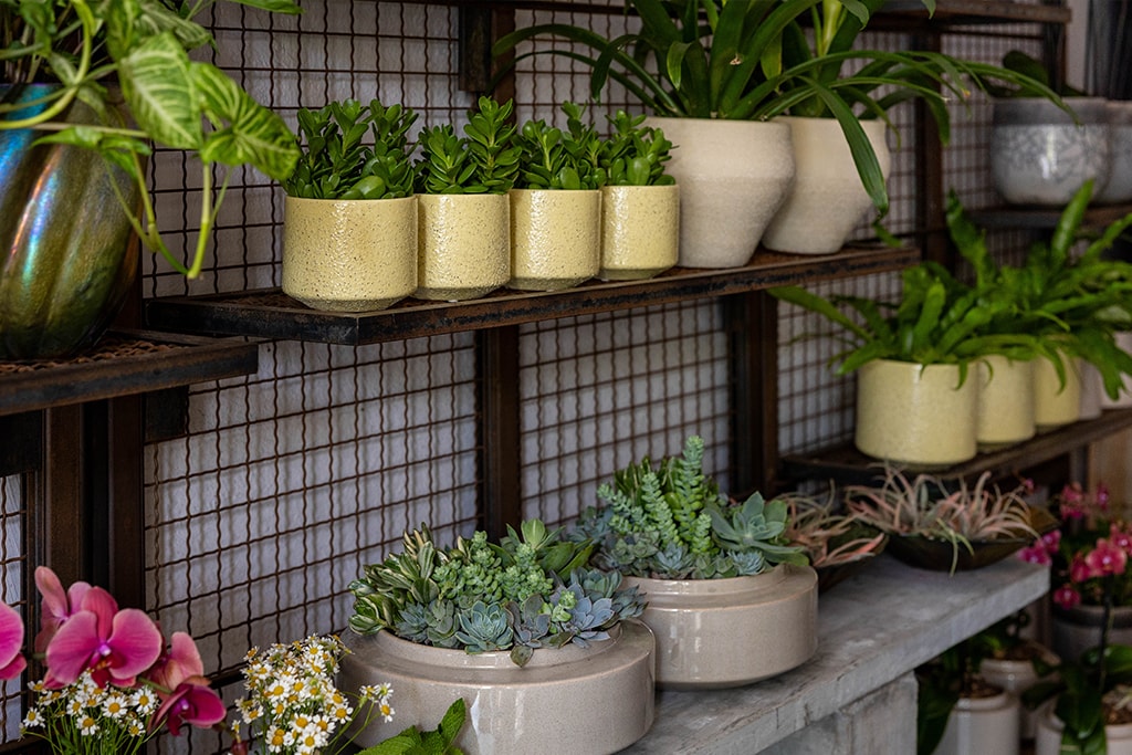 Wellesley, MA Floral Gallery Winston Flowers