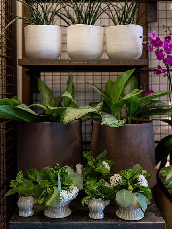 Wellesley, MA Floral Gallery Winston Flowers