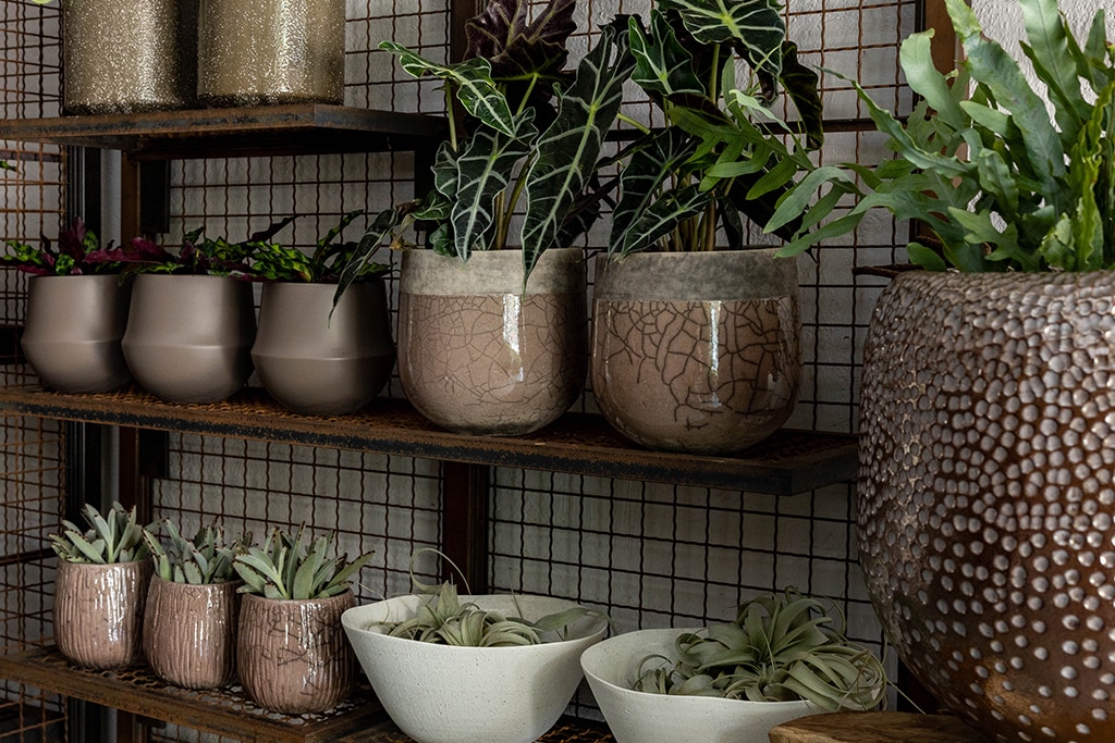 Wellesley, MA Floral Gallery Winston Flowers