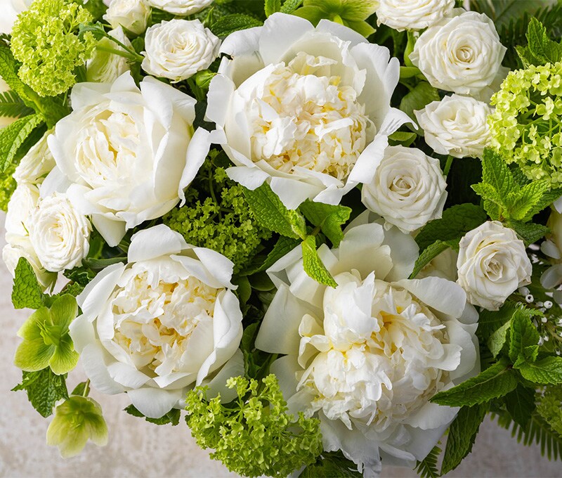 Luxury Peonies with Ivory Spray Roses Bouquet