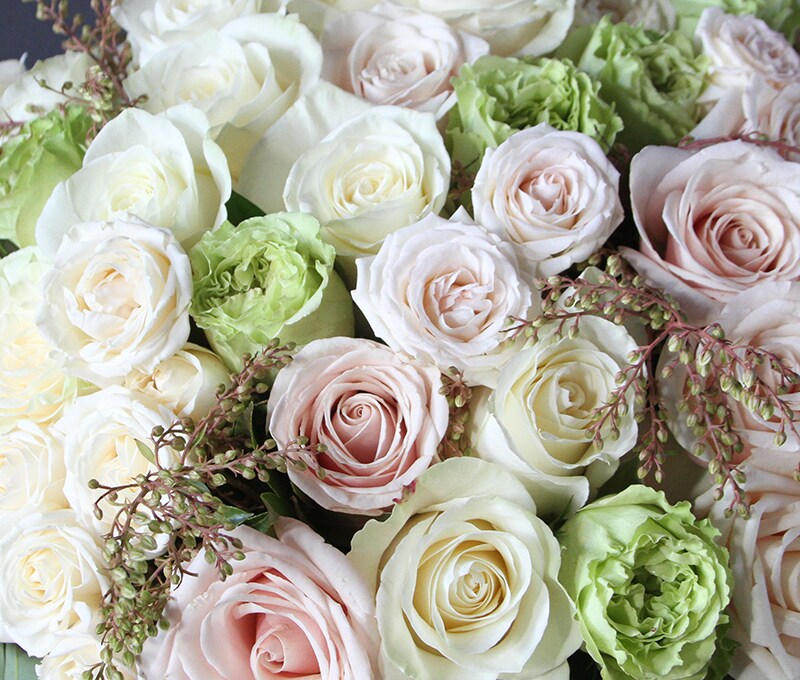 Ivory Pearls Avalanche Roses Bouquet