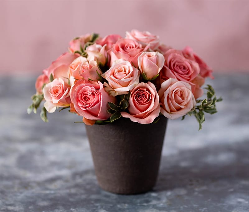 Spring Rose in Boston MA - Winston Flowers