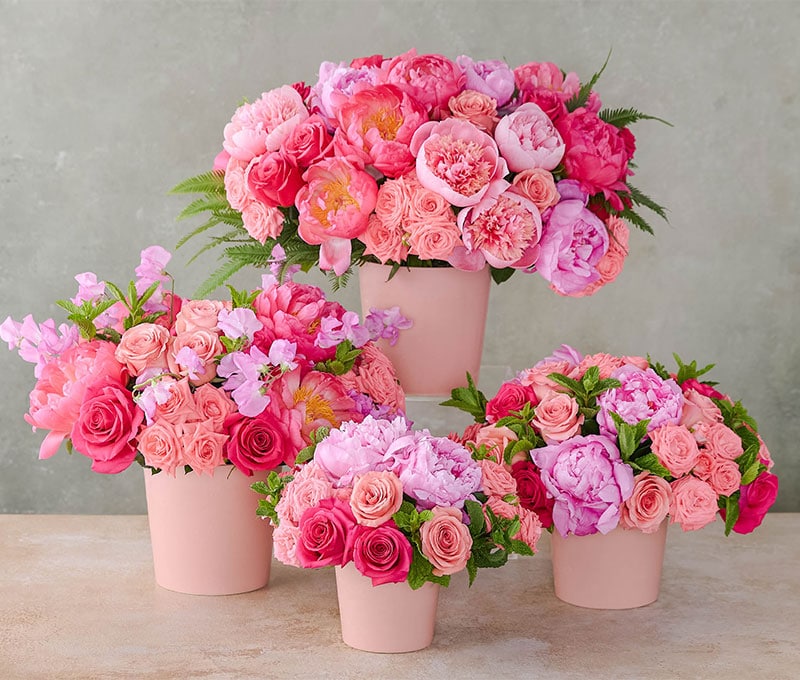 Peony Luxe in Boston MA - Winston Flowers