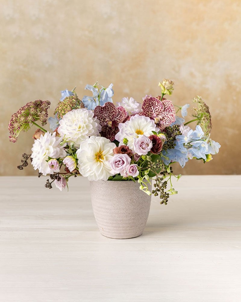 Florist Same Day Flower Delivery Winston Flowers