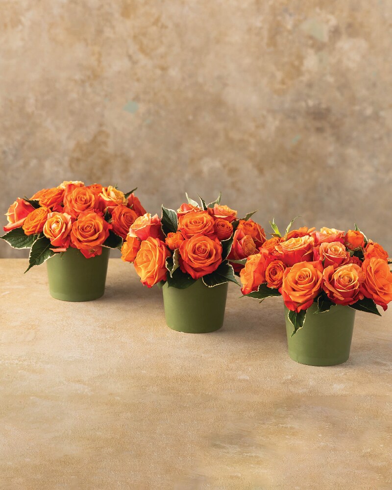 Harvest Spice Trio Flower Arrangement