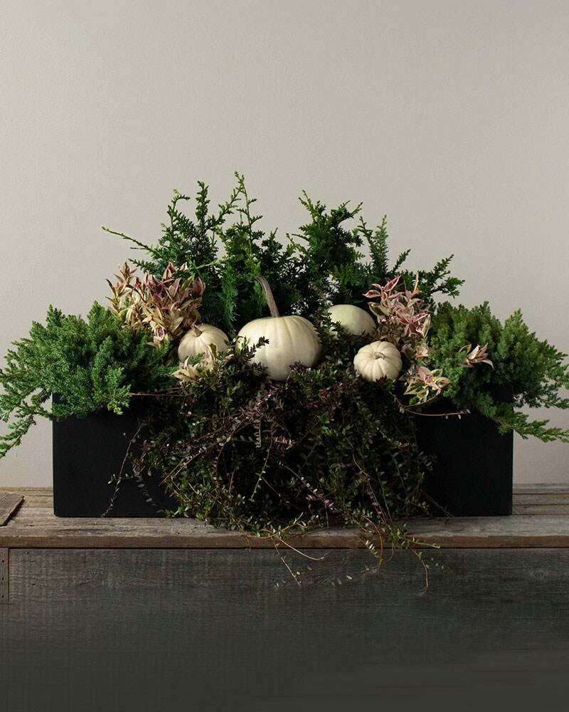 Outdoor Autumn Container Garden Custom product