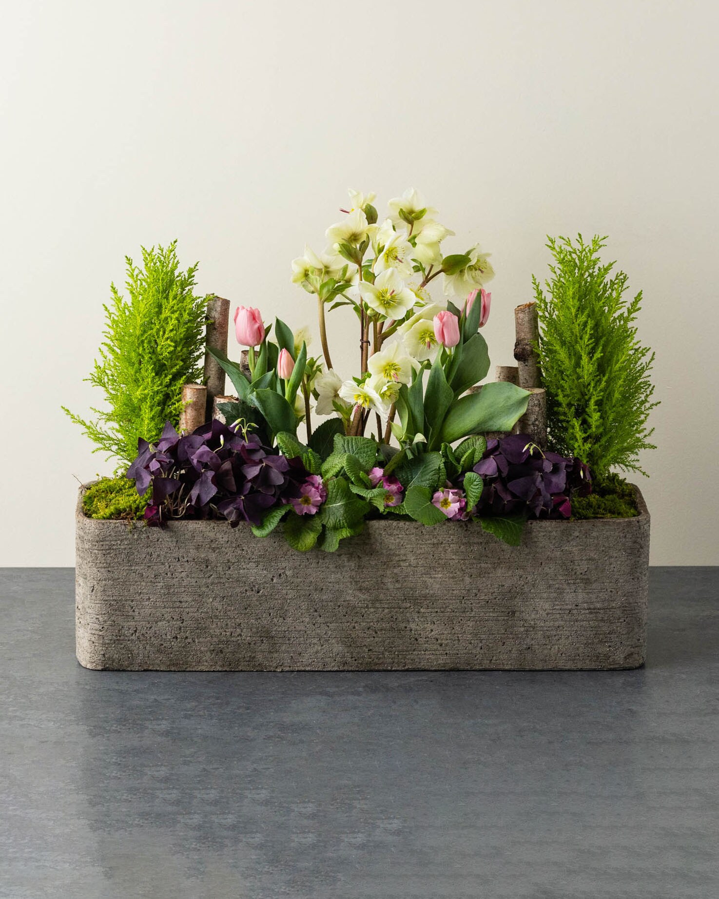 Outdoor Winter Container Garden Custom product