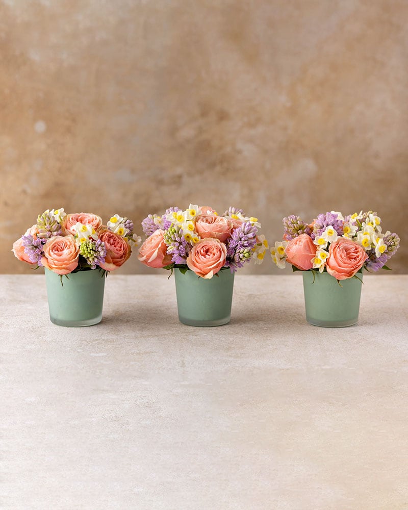 Spring Revival Trio Flower Arrangement