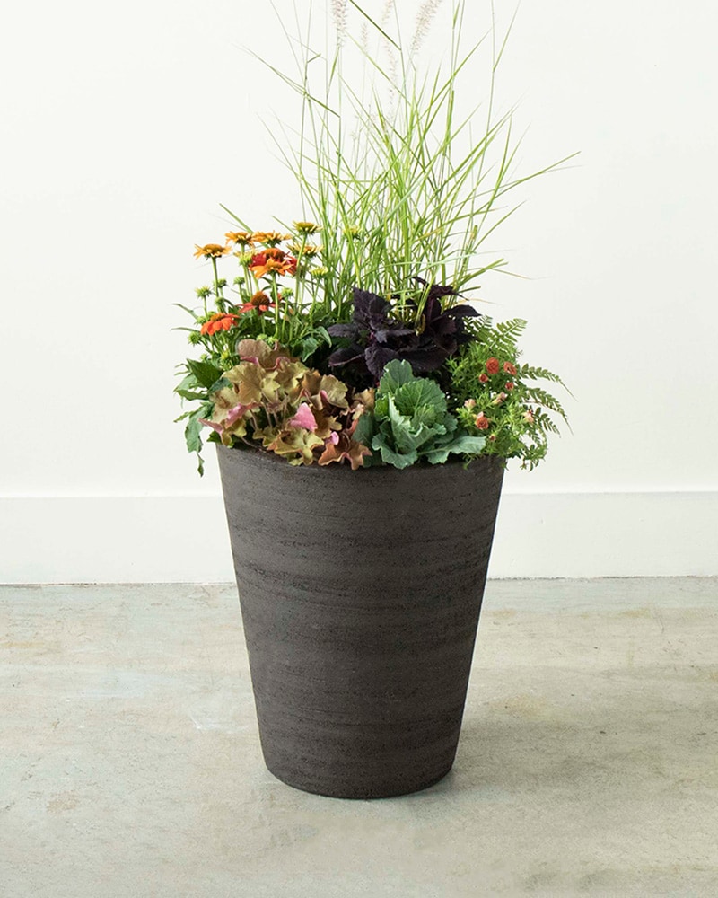 Outdoor Autumn Planter in Brown Flower Arrangement