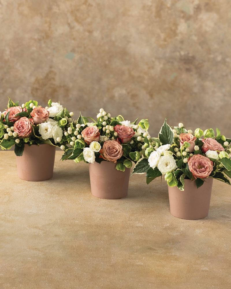 Woodland Blush Trio Flower Arrangement